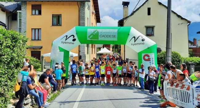 CADDESE CADDO 1024x555