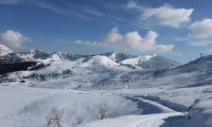 PHOTO 2024 12 14 14 26 37