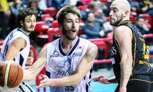 TOMMEI basket vinavil