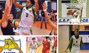 b basket domo hidalgo falconi