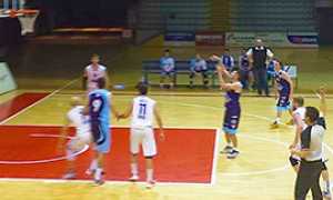 b poli opposti cipir bra libero