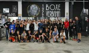 boxe vb