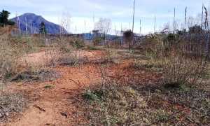 campi tennis intra co canottieri