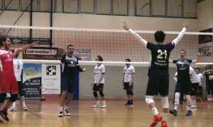 immobiliare vco domo