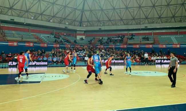 montecatini vinavil cipir