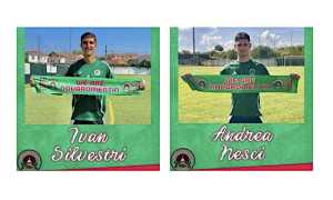 novaromentin silvestri nesci ago 25