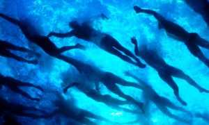 nuoto acque libere feat