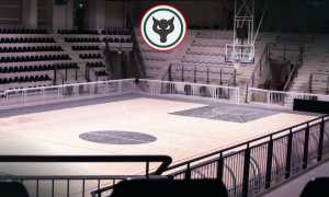 palasport gravellona