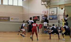 pallavolo seried inizio
