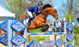 piovani cavallo varese