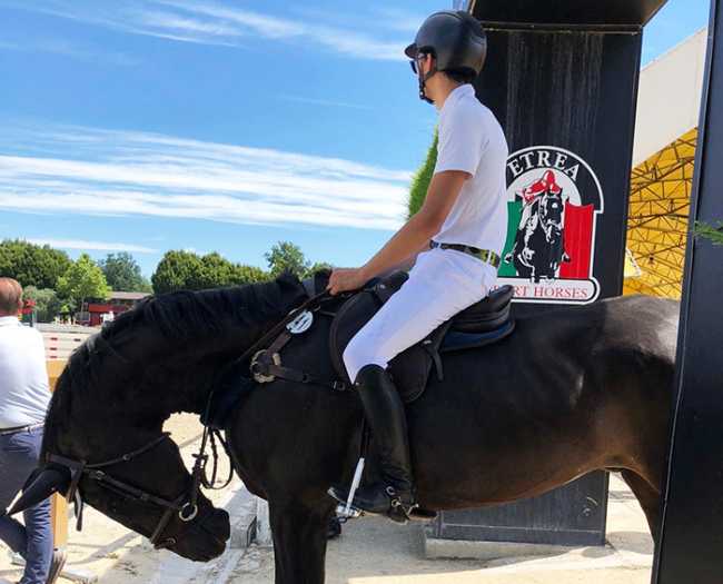 piovani cavvlo partenza testabassa