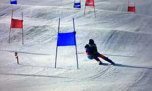 sci discesa slalom paletti