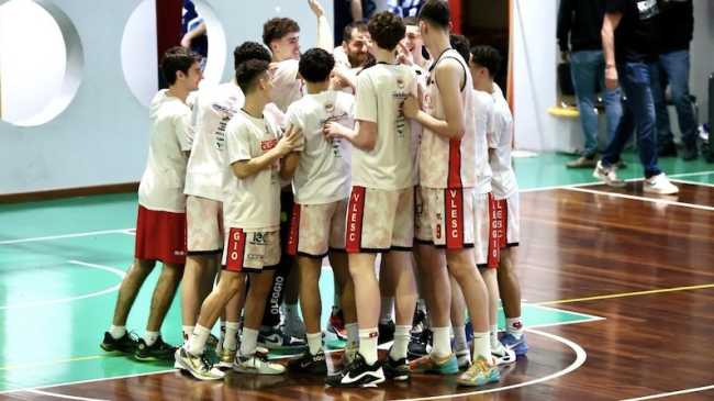 squali gruppo felici intero