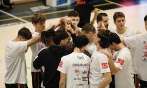 squali mani gruppo 23 24