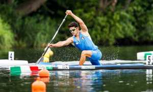 tacchini carlo action