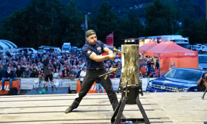 taglio legna stihl patata 18