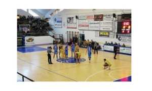 vigevano vinavil cipir 19