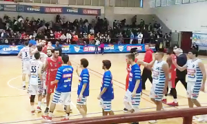 vinavil alessandria mani