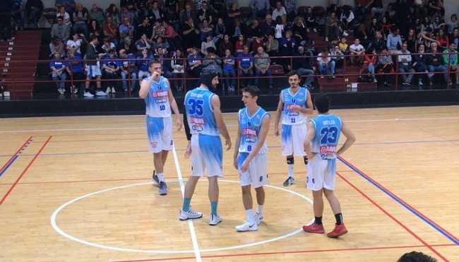 vinavil cipir amichevole