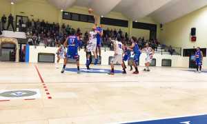 vinavil cipir cirie ott 17