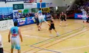 vinavil cipir moncalieri mar 17