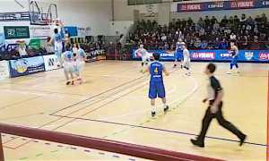 vinavil cipir piombino 2