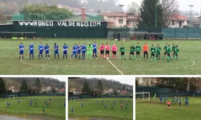 vogogna ronco valdengo mix 19