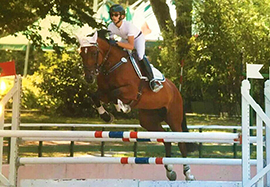 b piovani cavallo salto frontale