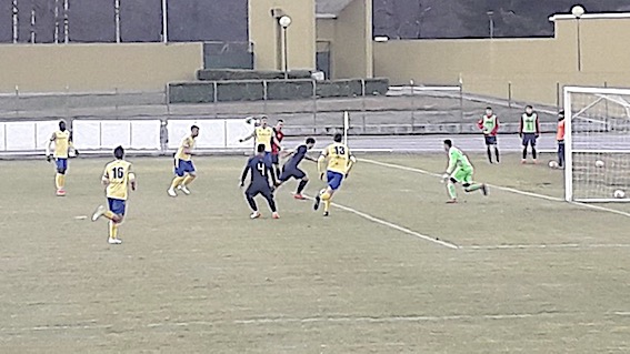 accademia borgo nuovo 2022