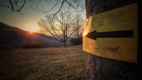 ossola trail mergozzo